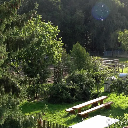 Hundefreundliches Gruppenhaus In Hessen Mit Garten 펜션