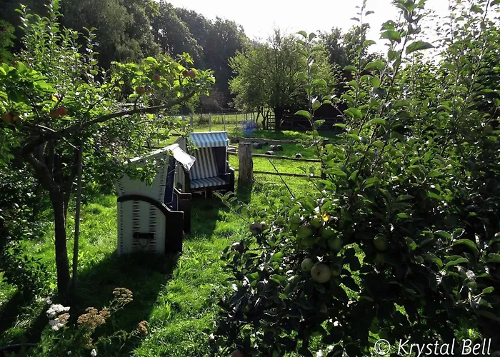 Hundefreundliches Gruppenhaus In Hessen Mit Garten * Bad Zwesten